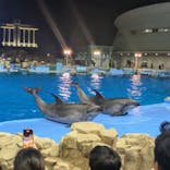 名古屋港水族館に投稿された画像（2025/9/1）