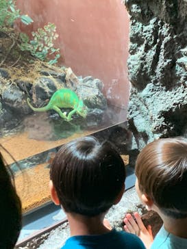 マクセル アクアパーク品川に投稿された画像（2025/9/1）