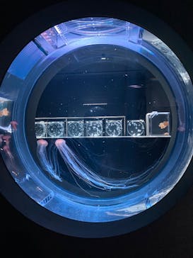 AOAO SAPPOROに投稿された画像（2025/9/1）