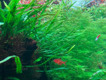 AOAO SAPPOROに投稿された画像（2025/9/1）