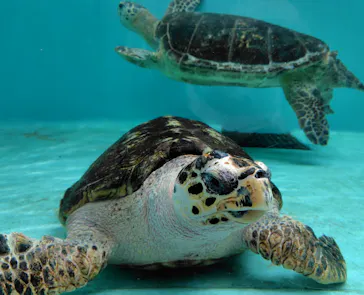 仙台うみの杜水族館に投稿された画像（2025/9/1）
