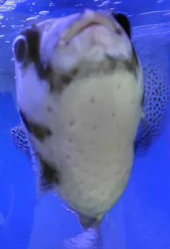 仙台うみの杜水族館に投稿された画像（2025/9/1）