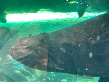 栃木県なかがわ水遊園に投稿された画像（2025/9/1）