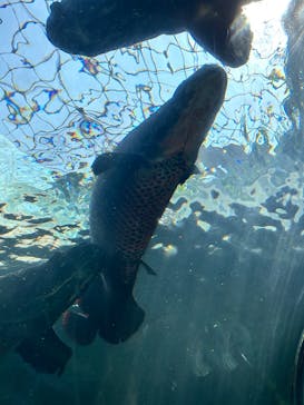 栃木県なかがわ水遊園に投稿された画像（2025/9/1）