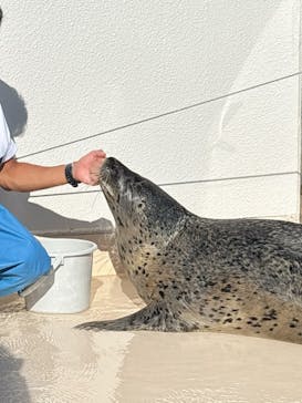 越前松島水族館に投稿された画像（2025/9/1）