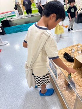 いきもの探検隊に投稿された画像（2025/9/1）