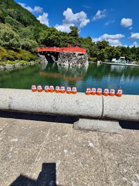 勝尾寺に投稿された画像（2025/9/1）