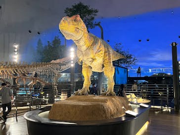 福井県立恐竜博物館に投稿された画像（2025/9/1）