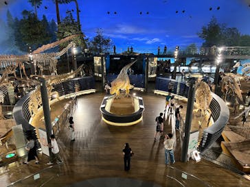 福井県立恐竜博物館に投稿された画像（2025/9/1）