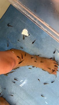 横浜・八景島シーパラダイス　プレジャーランドに投稿された画像（2025/9/1）