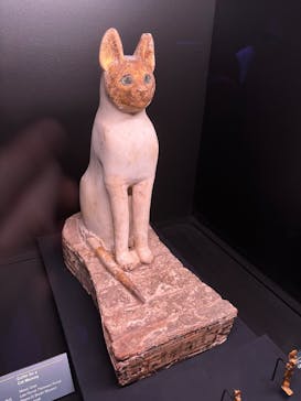 ACN ラムセス大王展 ファラオたちの黄金に投稿された画像（2025/9/1）