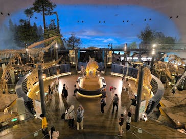 福井県立恐竜博物館に投稿された画像（2025/9/1）