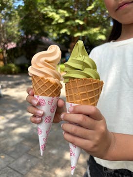 伊豆ぐらんぱる公園に投稿された画像（2025/9/2）