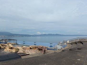 大分マリーンパレス水族館 「うみたまご」に投稿された画像（2025/9/2）