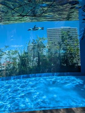 サンシャイン水族館に投稿された画像（2025/9/2）