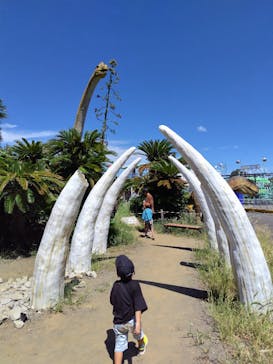 伊豆ぐらんぱる公園に投稿された画像（2025/9/2）