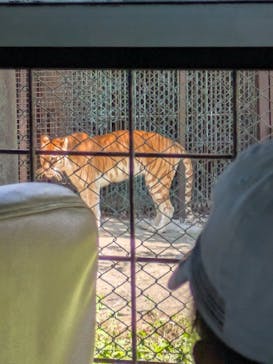 那須サファリパークに投稿された画像（2025/9/2）