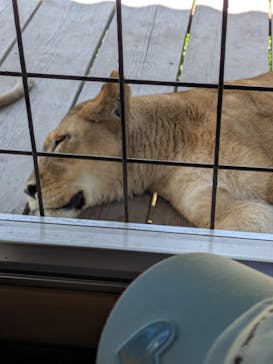 那須サファリパークに投稿された画像（2025/9/2）