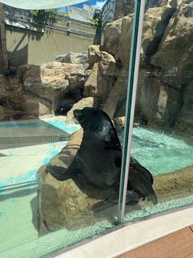 サンシャイン水族館に投稿された画像（2025/9/2）