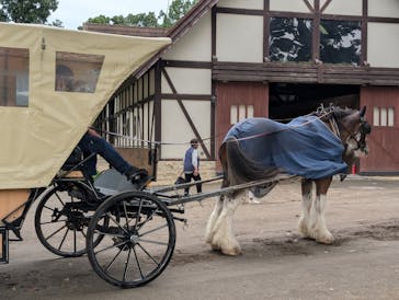 ノーザンホースパークに投稿された画像（2025/9/2）