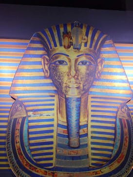 MYSTERY OF TUTANKHAMEN 体感型古代エジプト展に投稿された画像（2025/9/2）