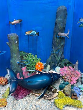 海洋堂ホビーランドに投稿された画像（2025/9/2）