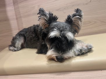 いぬカフェRio 富士見店に投稿された画像（2025/9/2）