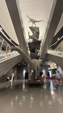 福井県立恐竜博物館に投稿された画像（2025/9/2）