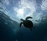 マーレ石垣島に投稿された画像（2025/9/2）