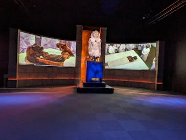 ACN ラムセス大王展 ファラオたちの黄金に投稿された画像（2025/9/2）