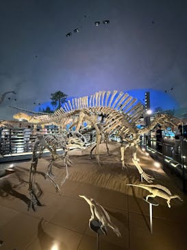 福井県立恐竜博物館に投稿された画像（2025/9/2）