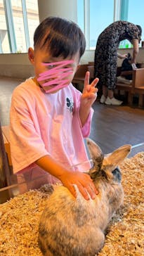Moff animal cafe 小田原ダイナシティ店に投稿された画像（2025/9/2）