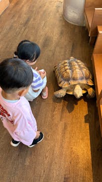 Moff animal cafe 小田原ダイナシティ店に投稿された画像（2025/9/2）