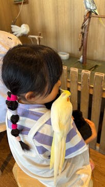 Moff animal cafe 小田原ダイナシティ店に投稿された画像（2025/9/2）