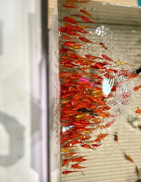 あべのハルカス美術館に投稿された画像（2025/9/2）