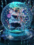 AQUARIUM × ART　atoaに投稿された画像（2025/9/2）