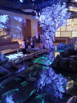 AQUARIUM × ART　atoaに投稿された画像（2025/9/2）