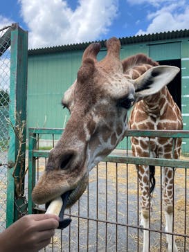 岩手サファリパークに投稿された画像（2025/9/2）