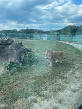 岩手サファリパークに投稿された画像（2025/9/2）