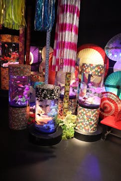 UWS AQUARIUM GA☆KYOに投稿された画像（2025/9/2）