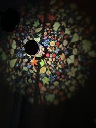 旅する光の切り絵展 ～くうそうって、まほうだよ～に投稿された画像（2025/9/2）