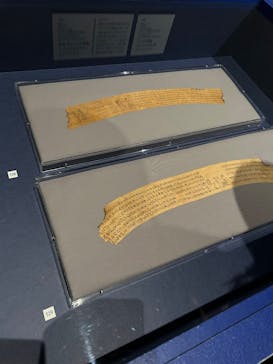 ブルックリン博物館所蔵　特別展　古代エジプト（豊田会場）に投稿された画像（2025/9/2）