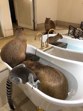 アニタッチららぽーと名古屋みなとアクルスに投稿された画像（2025/9/2）