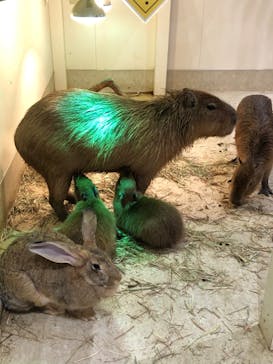 アニタッチららぽーと名古屋みなとアクルスに投稿された画像（2025/9/2）