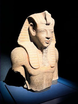 ACN ラムセス大王展 ファラオたちの黄金に投稿された画像（2025/9/2）