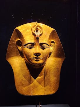 ACN ラムセス大王展 ファラオたちの黄金に投稿された画像（2025/9/2）