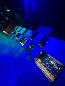 NARA KINGYO MUSEUMに投稿された画像（2025/9/2）