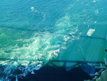 徳島県立 渦の道に投稿された画像（2025/9/2）