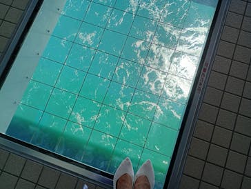 徳島県立 渦の道に投稿された画像（2025/9/2）