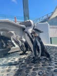 四国水族館に投稿された画像（2025/9/3）